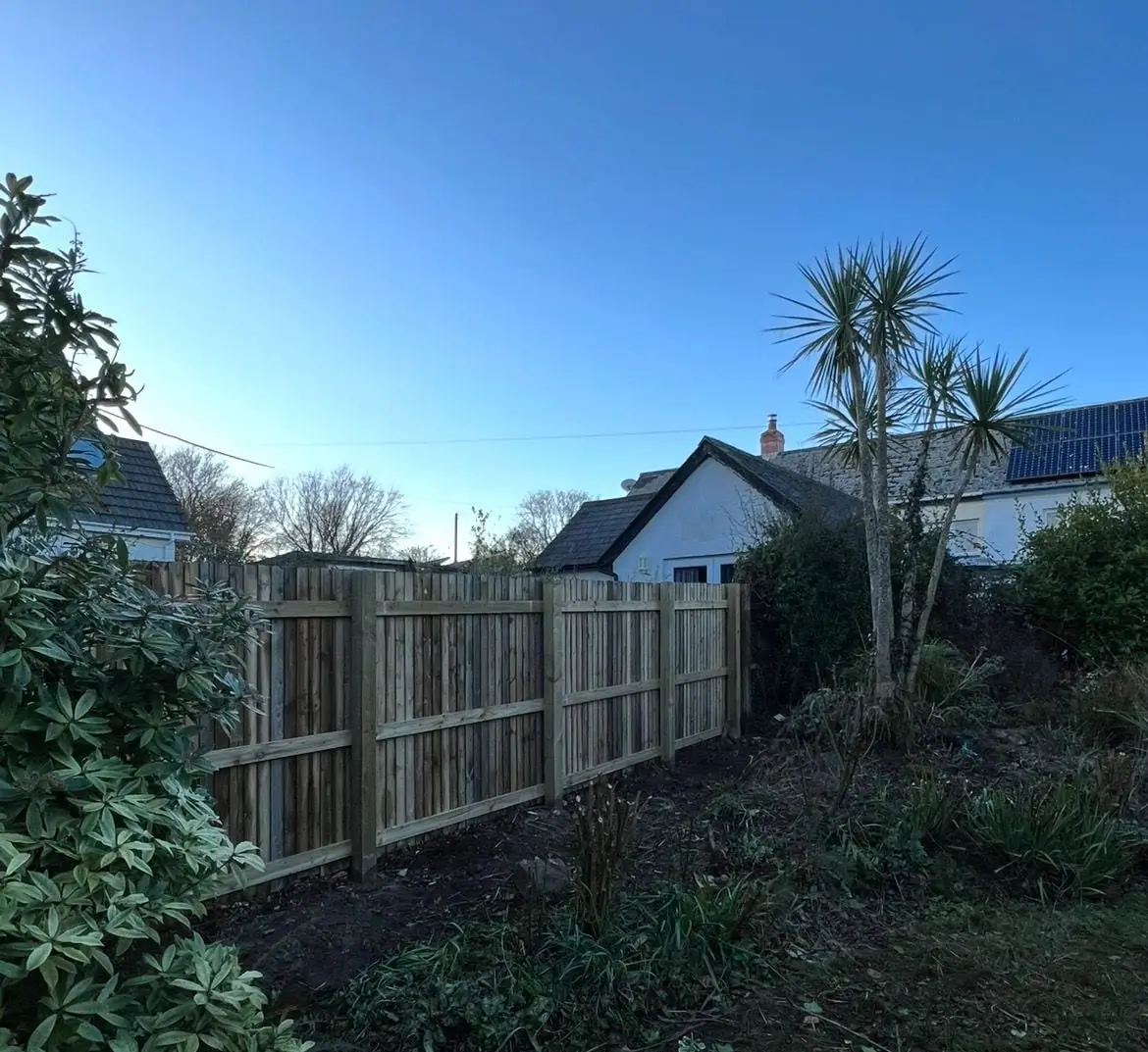 New closeboard timber fence along a garden boundary