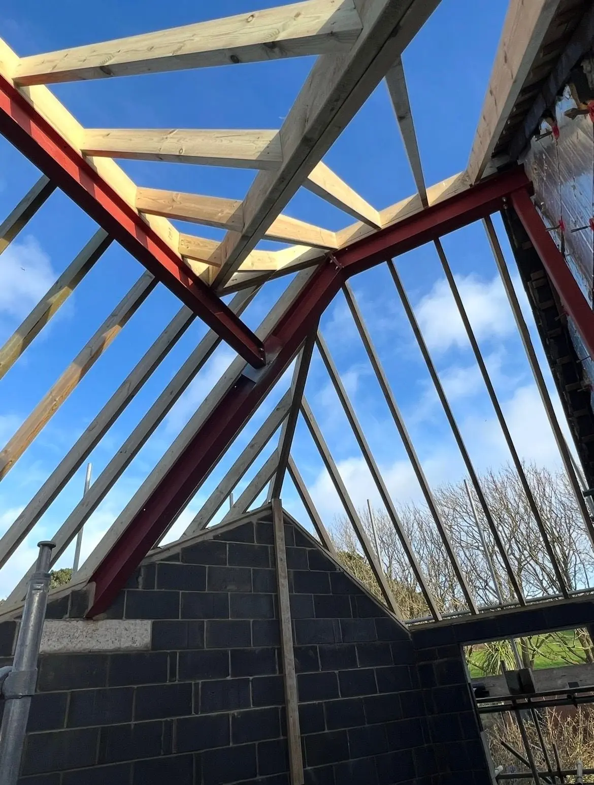 New softwood rafters fixed over steel beams on an extension roof